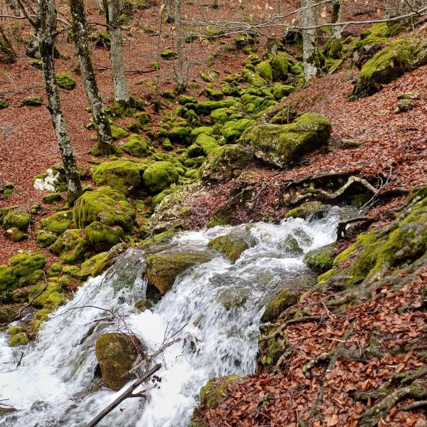 Sorgente Tornarccia in Val Fondillo - Sergio Rusi
